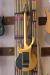 		Musicman - John Petrucci Majesty 6 Goldmine
		