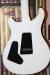 		PRS - SE  - Dave Navarro Jet White
		