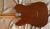 		Fender - ORIGINAL 70 S TELECASTER CUSTOM  MAPLE FINGERBOARD MOCHA  2020 
		