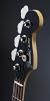 		Fender - Artist Signature - Frank Bello Bass Black RW
		