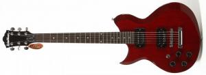 Washburn - WI 200 Pro Gaucher Translucent Cherry
