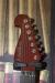 		Washburn - N7 PADAUK Natural
		