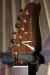 		Tom Anderson - Hollow T Rosewood  Natural  Brown Back
		