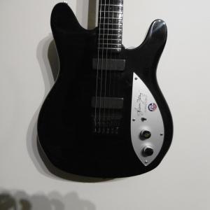 Rickenbacker - GLENN FREY GF230 
