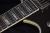 		Washburn - PS2000  B PAUL STANLEY 1999 
		