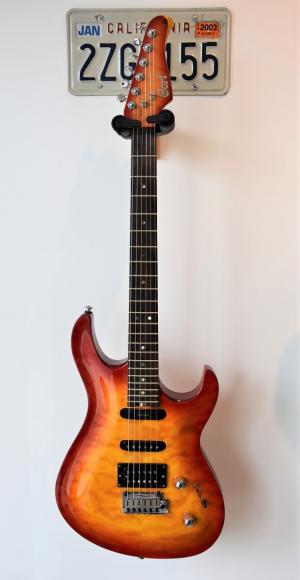 Cort - G CUSTOM 2013 
