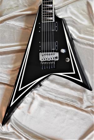 ESP - SV  standard series 2010 
