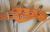 		Fender - American Vintage - 57   SUNBURST     anne 1998 
		