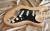 		Fender - STRATOCASTER AMERICAN PRO  NATURELLE anne 2018 
		