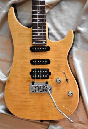 Vigier -  
