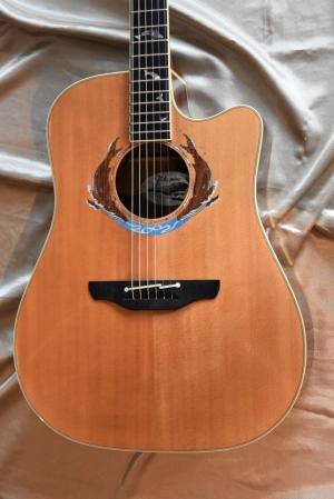 Takamine - LTD 2002 WHALES 
