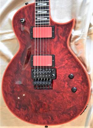 ESP CUSTOM SHOP - GARY HOLT   
