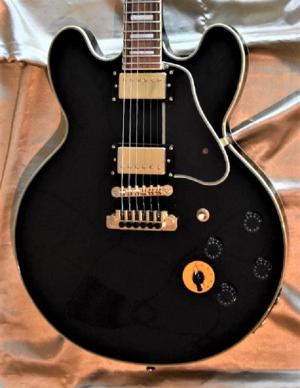 EPIPHONE -  
