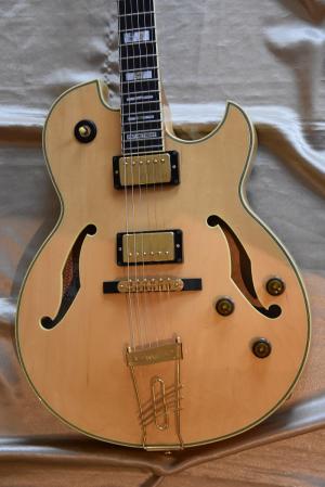 Ibanez - PM120 PAT METHENY  2009 
