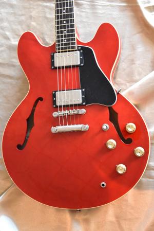 EPIPHONE -  
