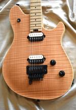 EVH  WOLFGANG SPECIAL   anne 2015