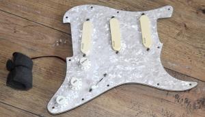 EMG - PLAQUE DE STRATOCASTER COMPLETE 
