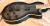 		EPIPHONE - Les Paul BASS signature  THE VINNIE anne 2005 
		