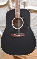 ART ET LUTHERIE CEDAR BLACK    anne  2013