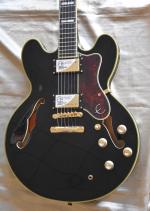 EPIPHONE SHERATON 2 PRO anne  2017