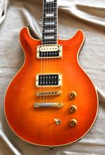 Hamer ARCHTOP CUSTOM  anne 1993